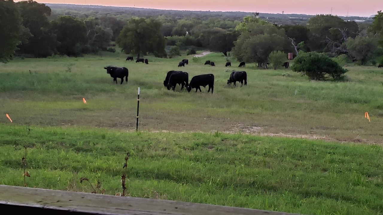 Photo of Outdoor in Belton
