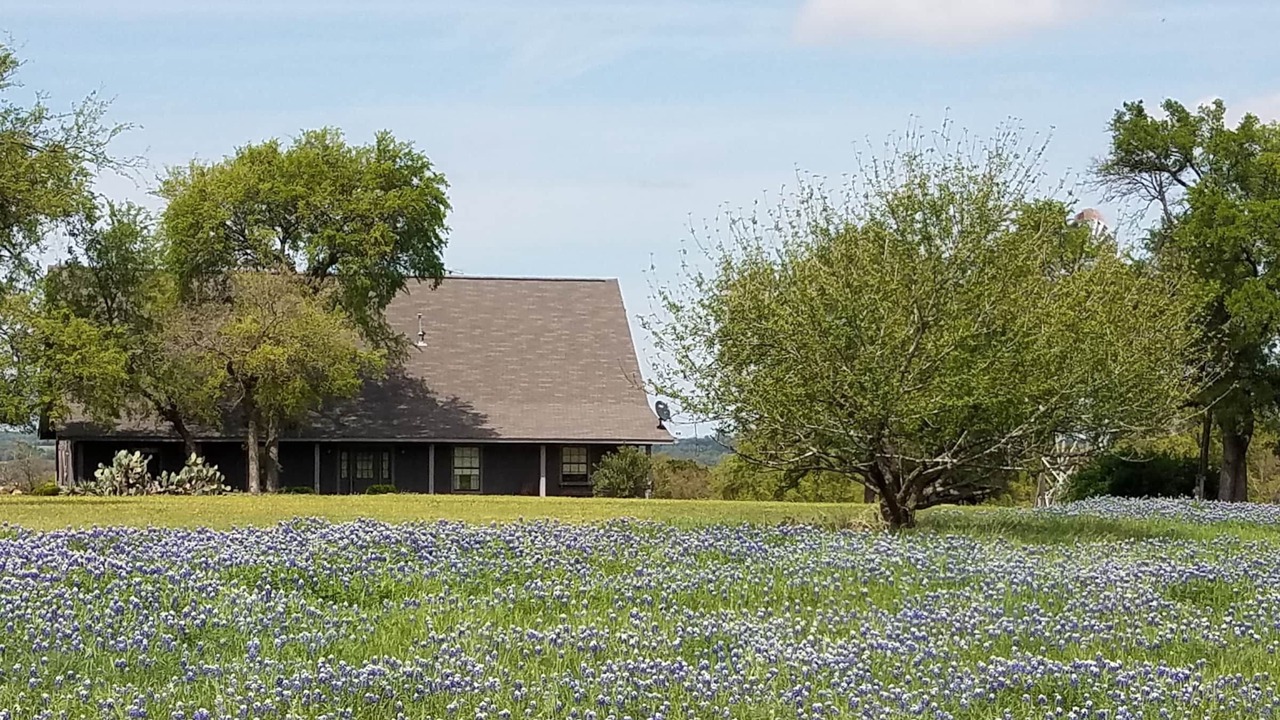 Photo of Others in Belton