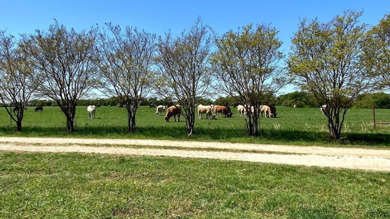 Photo of Others in Belton