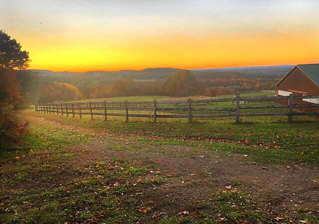 Photo of Outdoor in Nunda