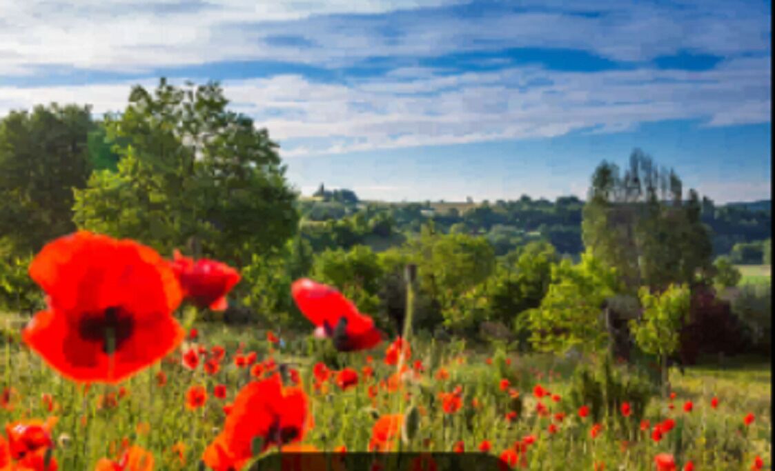 Photo of Outdoor in Forcalquier