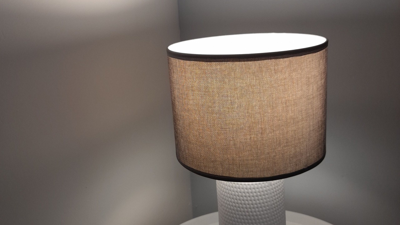 Photo of Others in Lisle-sur-Tarn