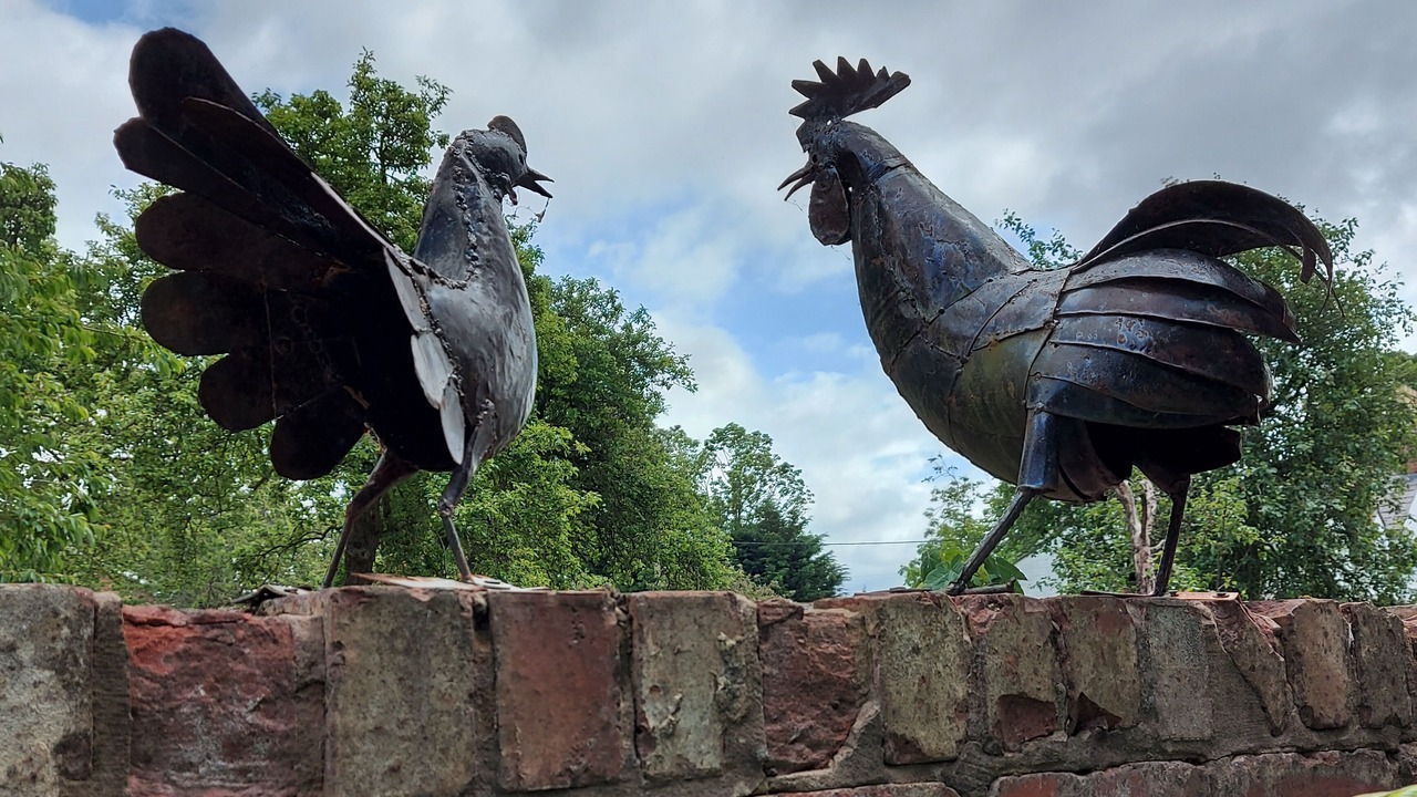 Photo of Others in Chorlton-by-Backford