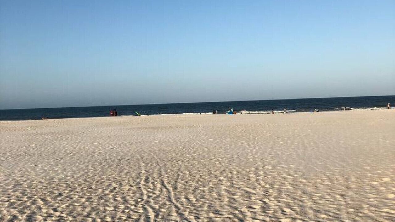 Photo of Others in St. Augustine Beach