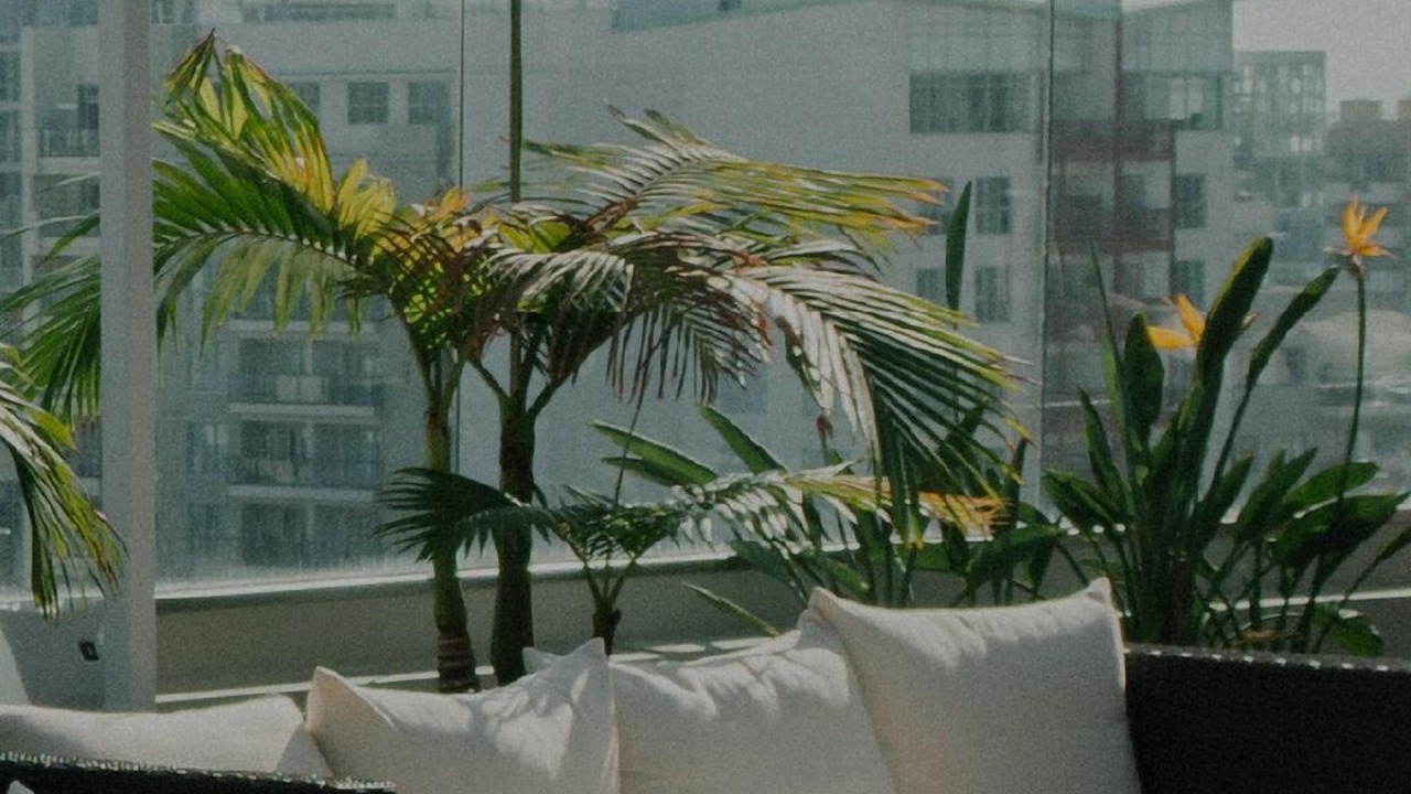 Photo of Outdoor in MIT