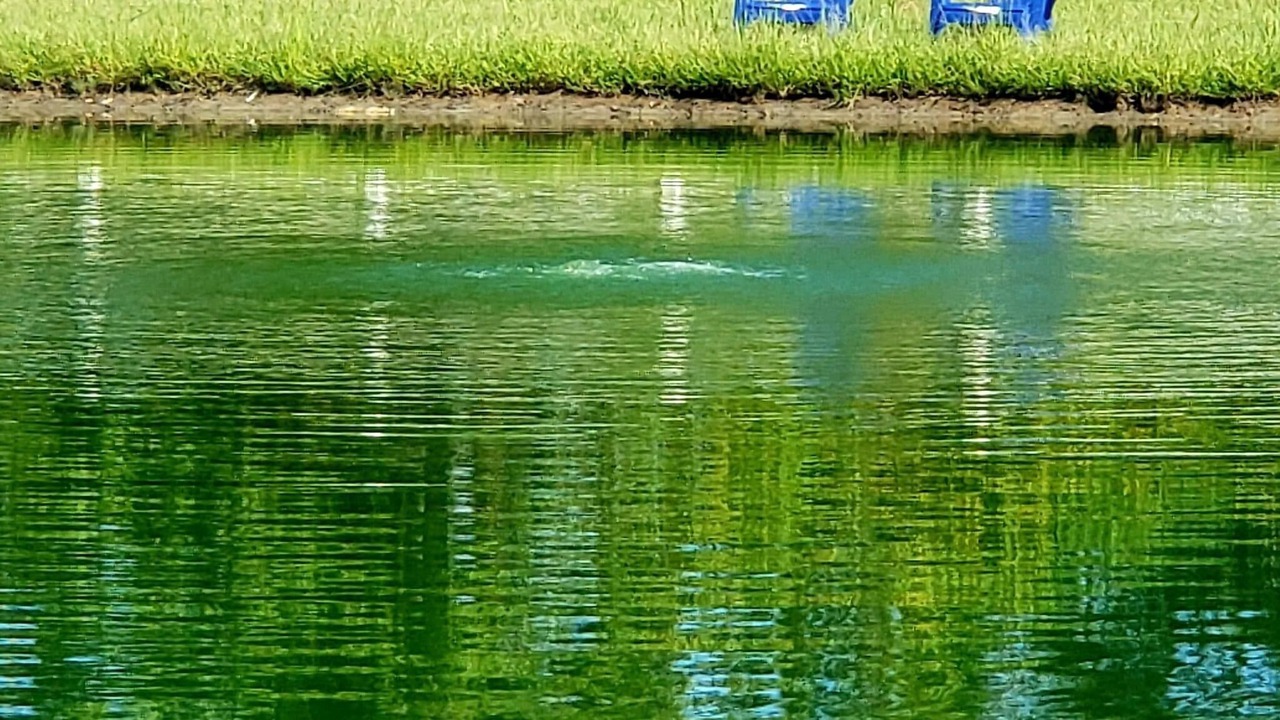 Photo of Outdoor in Parkton