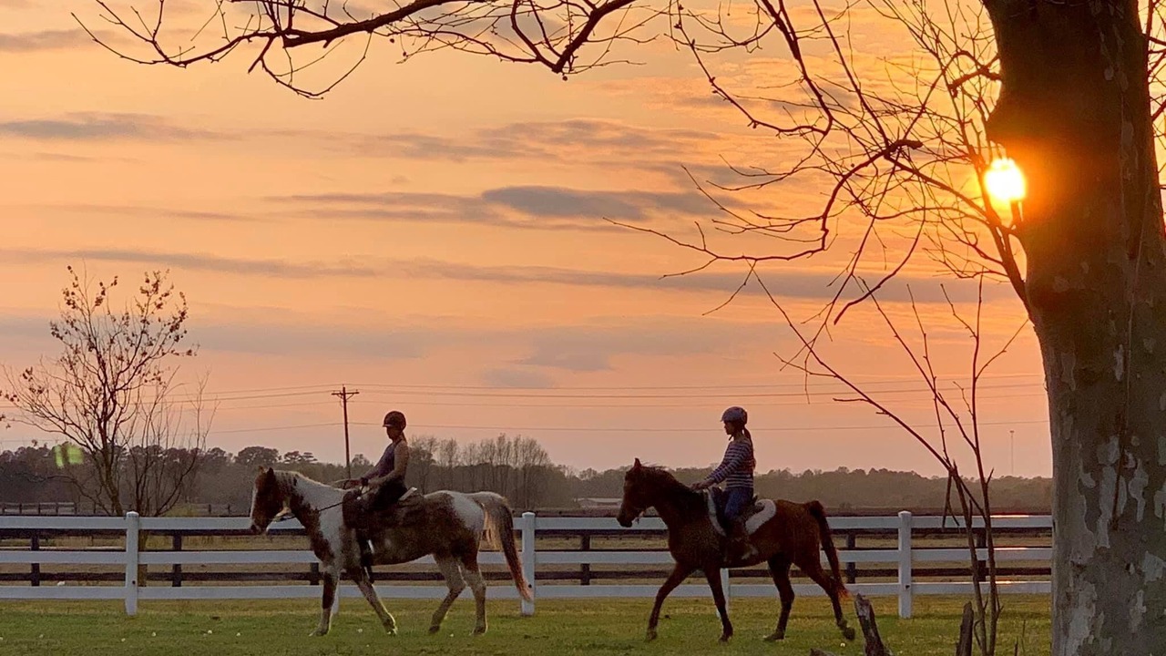 Photo of Outdoor in Parkton