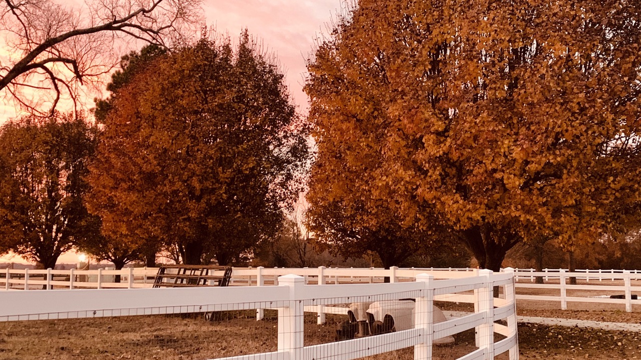 Photo of Outdoor in Parkton
