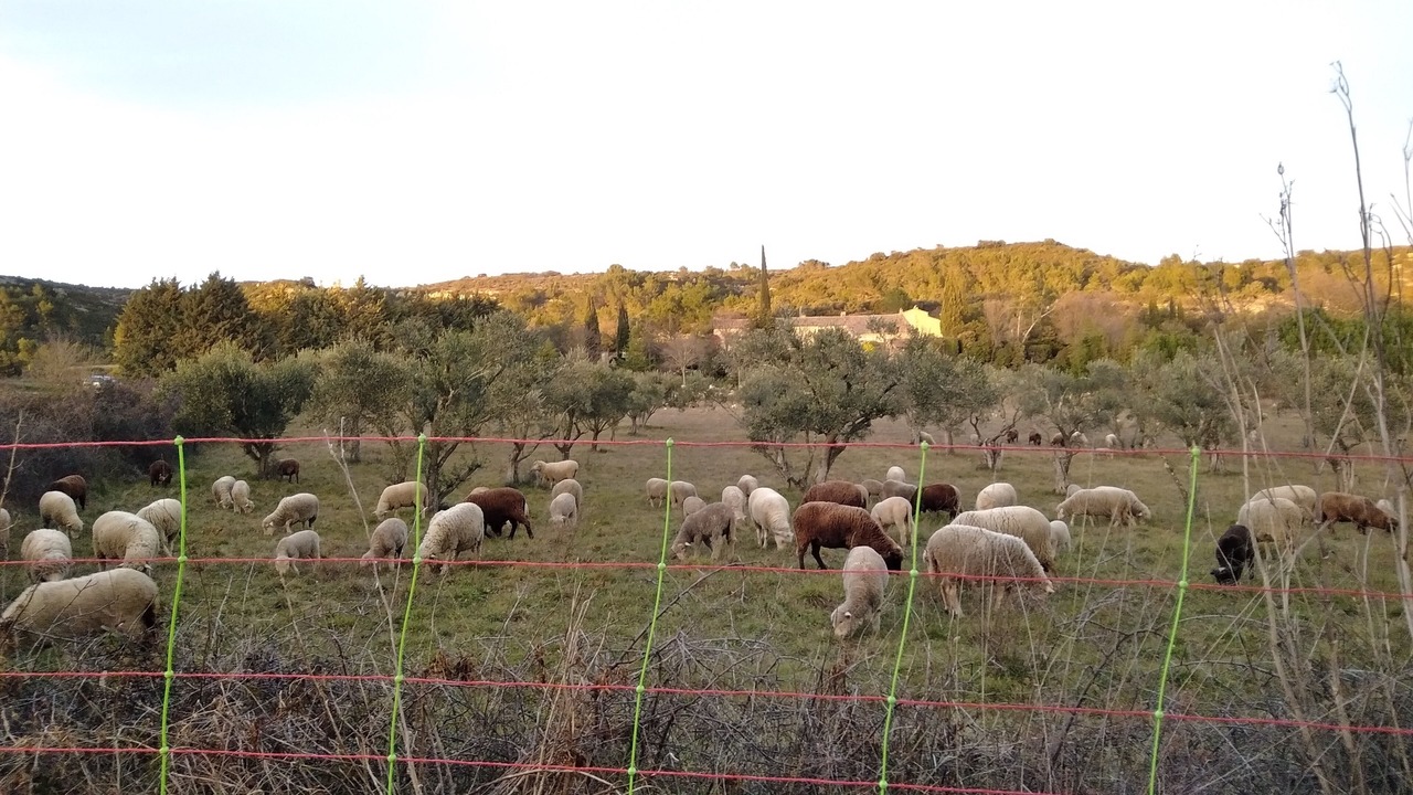 Photo of Outdoor in Belvezet