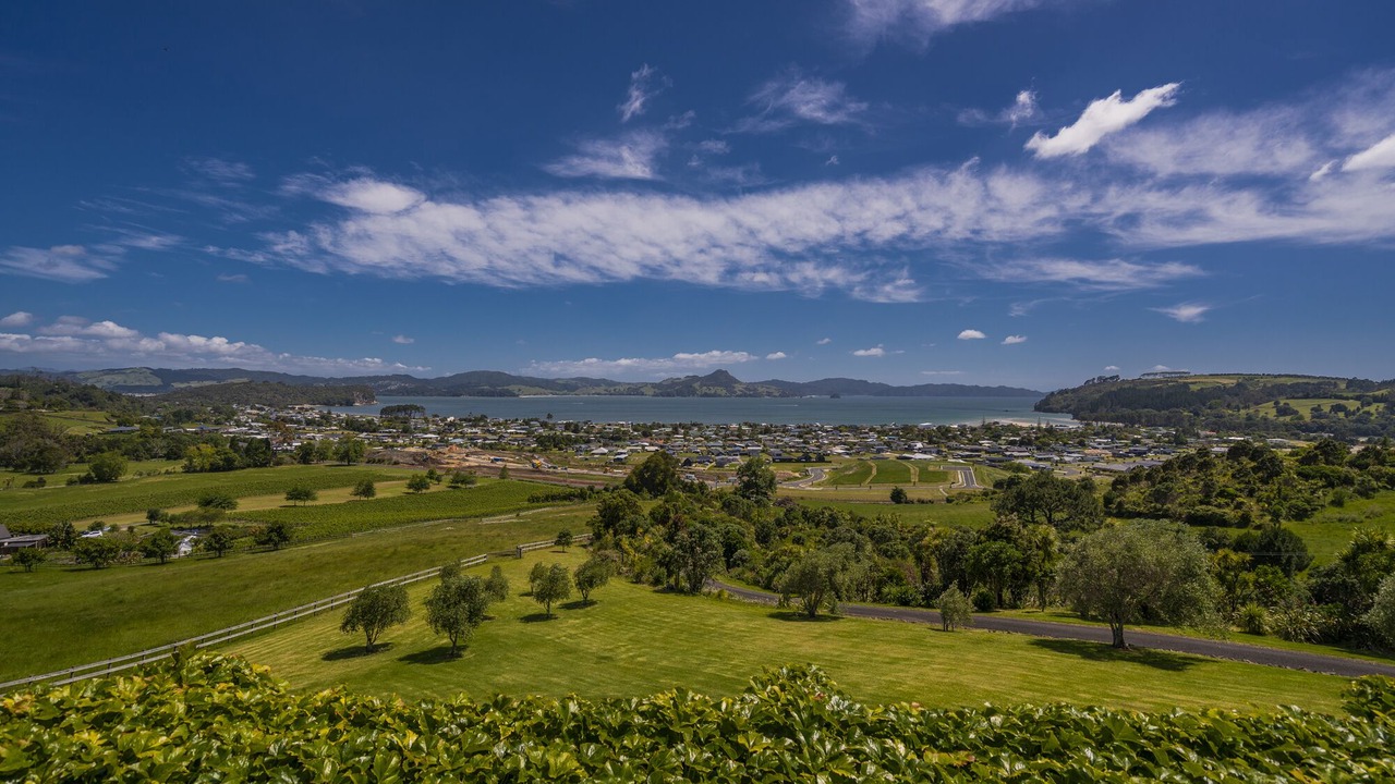 Photo of Others in Cooks Beach