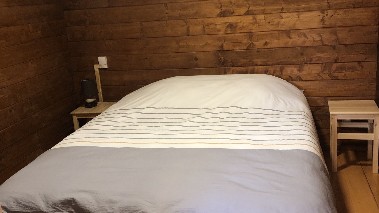 Photo of Bedroom in Neschers