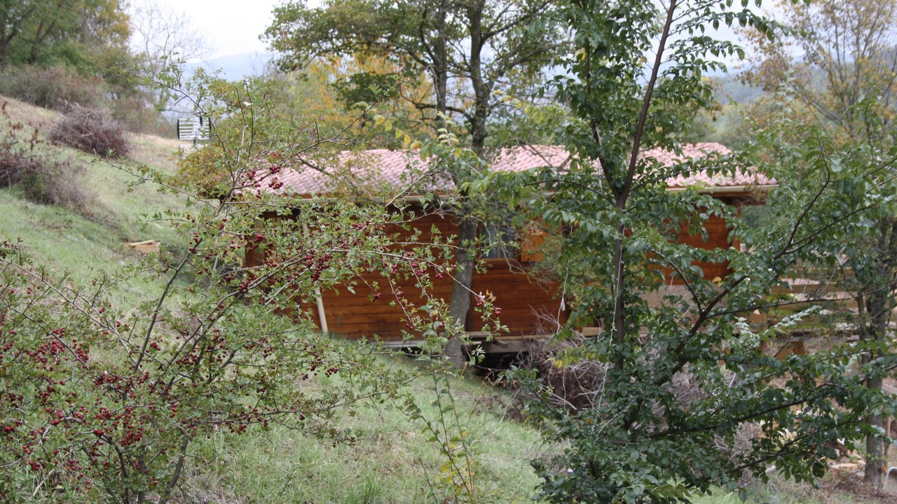 Photo of Outdoor in Neschers