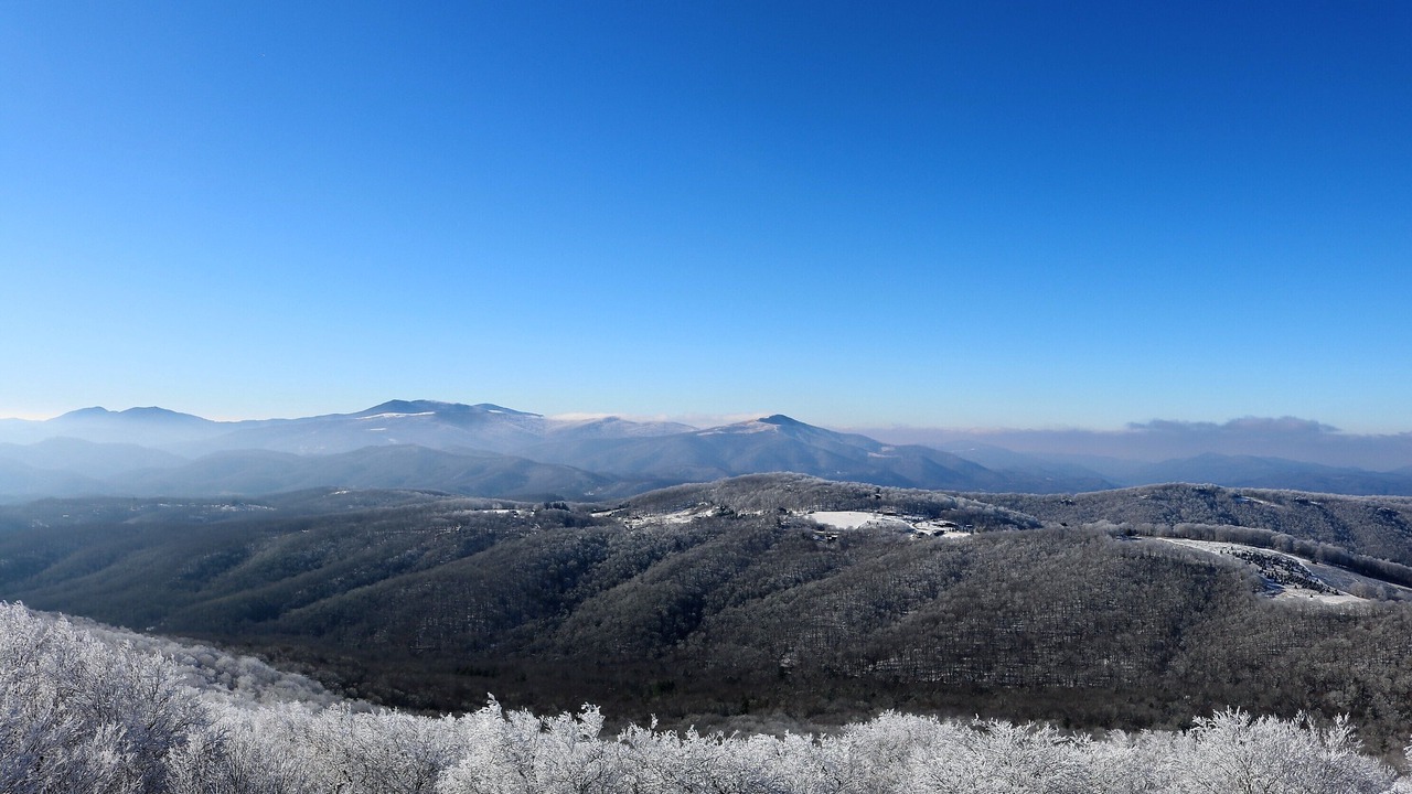 Photo of Others in Sugar Mountain