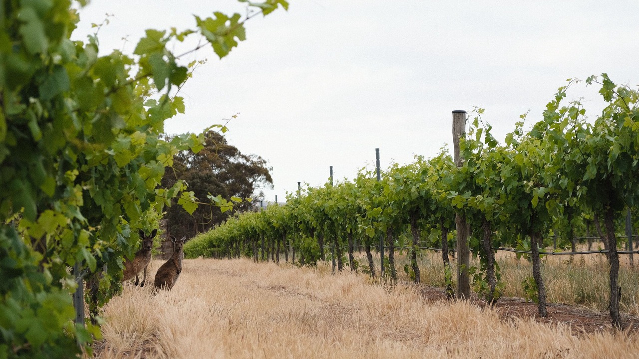 Photo of Outdoor in Upper Wakefield