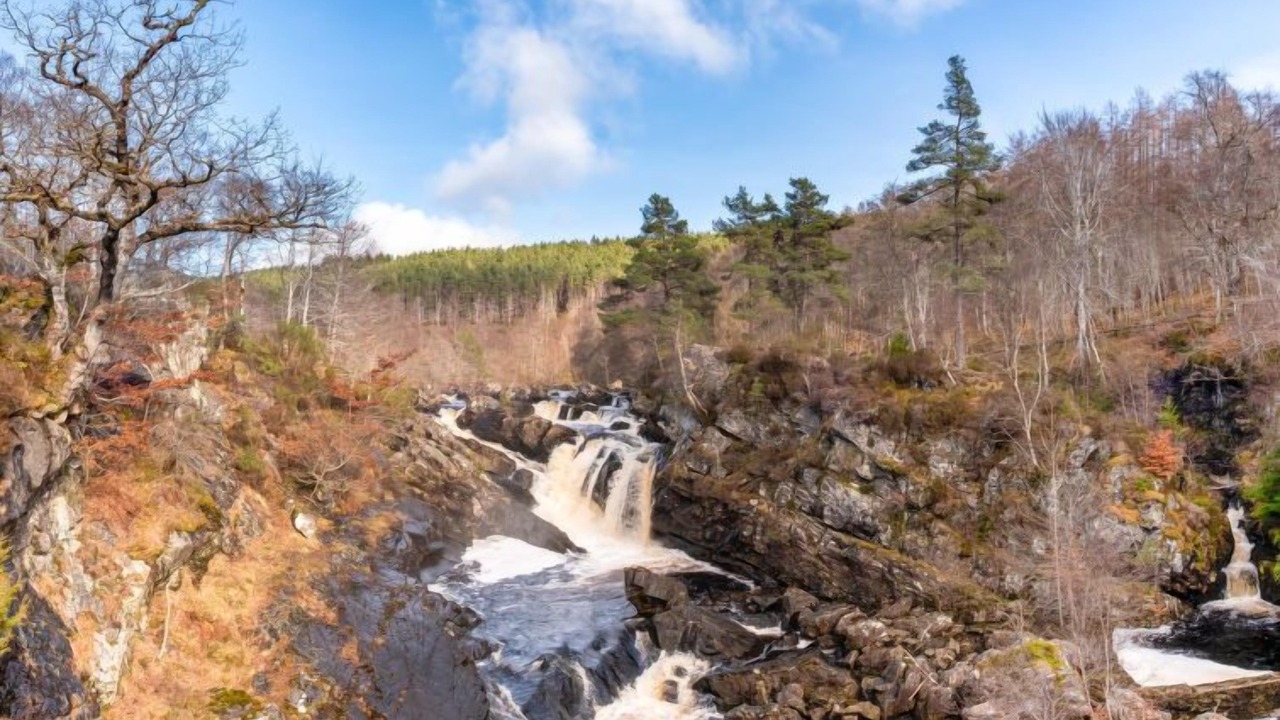 Photo of Others in Cannich