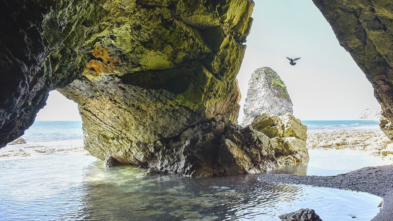 Photo of Others in Freshwater Bay