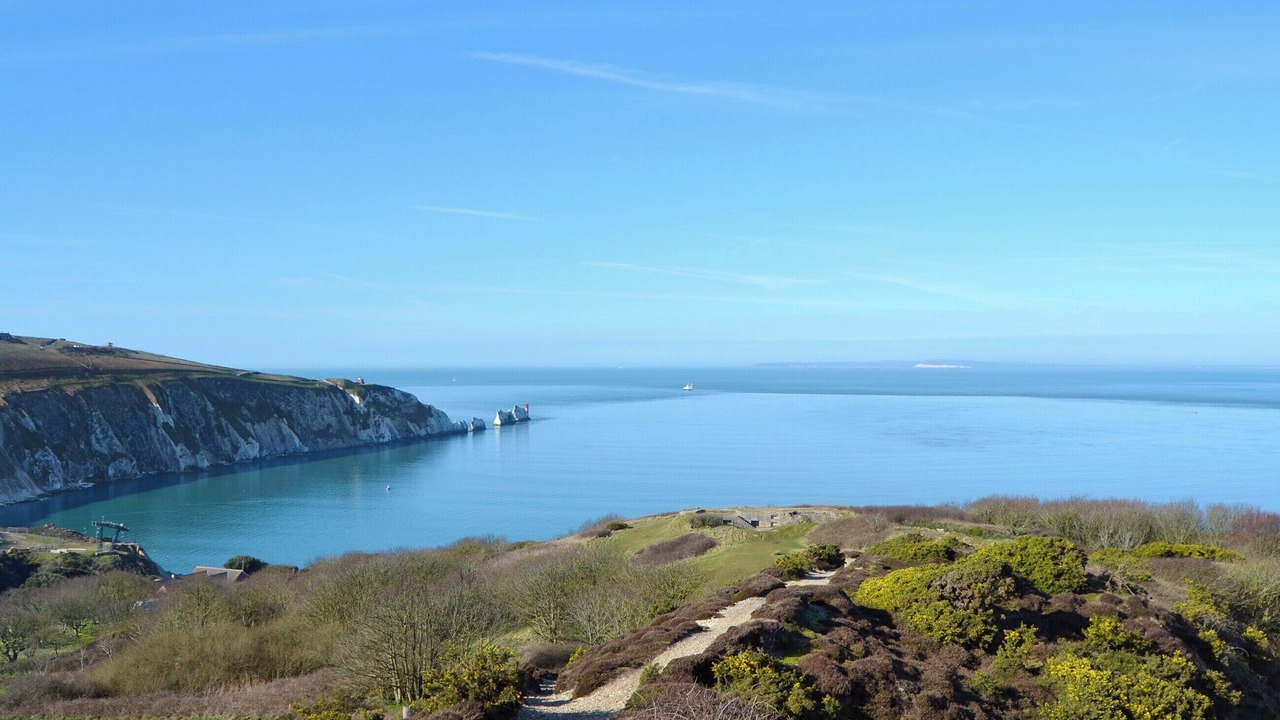 Photo of Others in Freshwater Bay