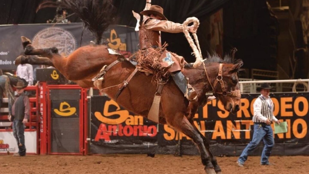 Photo of Others in West San Antonio