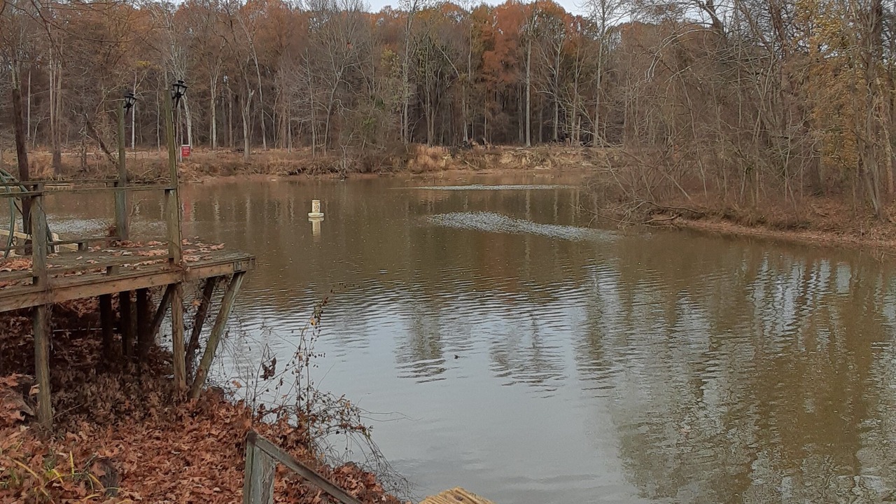 Photo of Others in Sardis