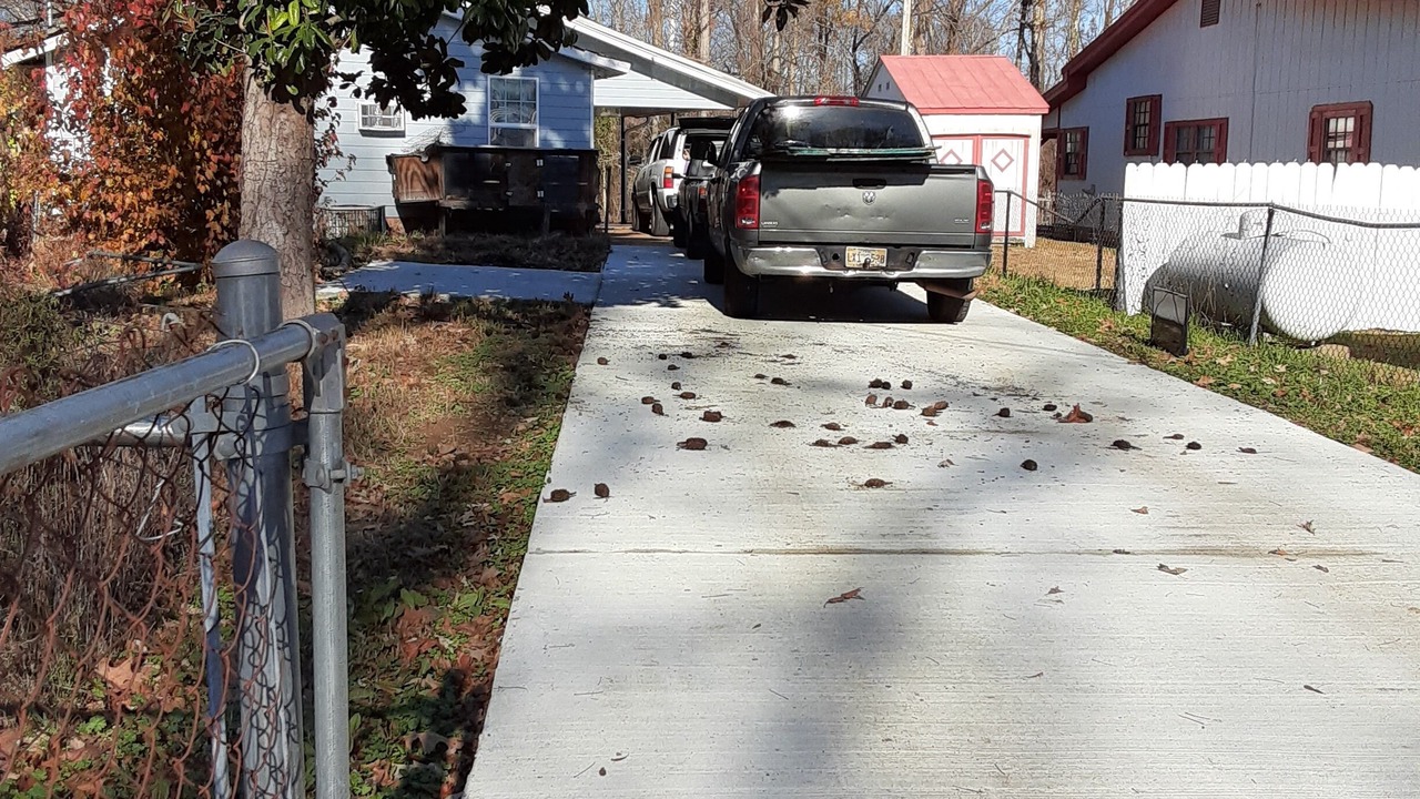 Photo of Outdoor in Sardis