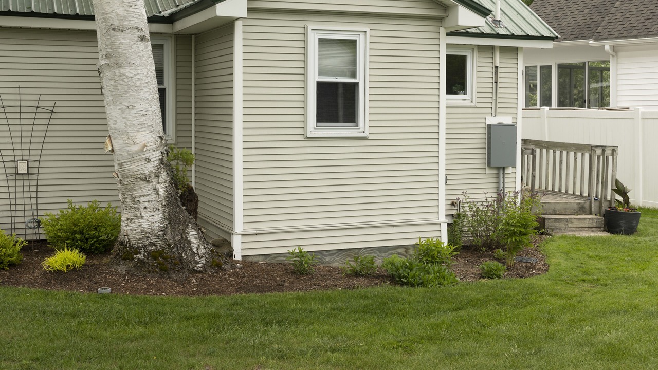 Photo of Outdoor in Cedar