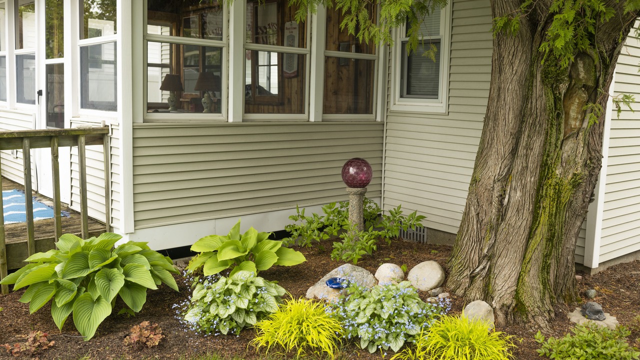 Photo of Outdoor in Cedar
