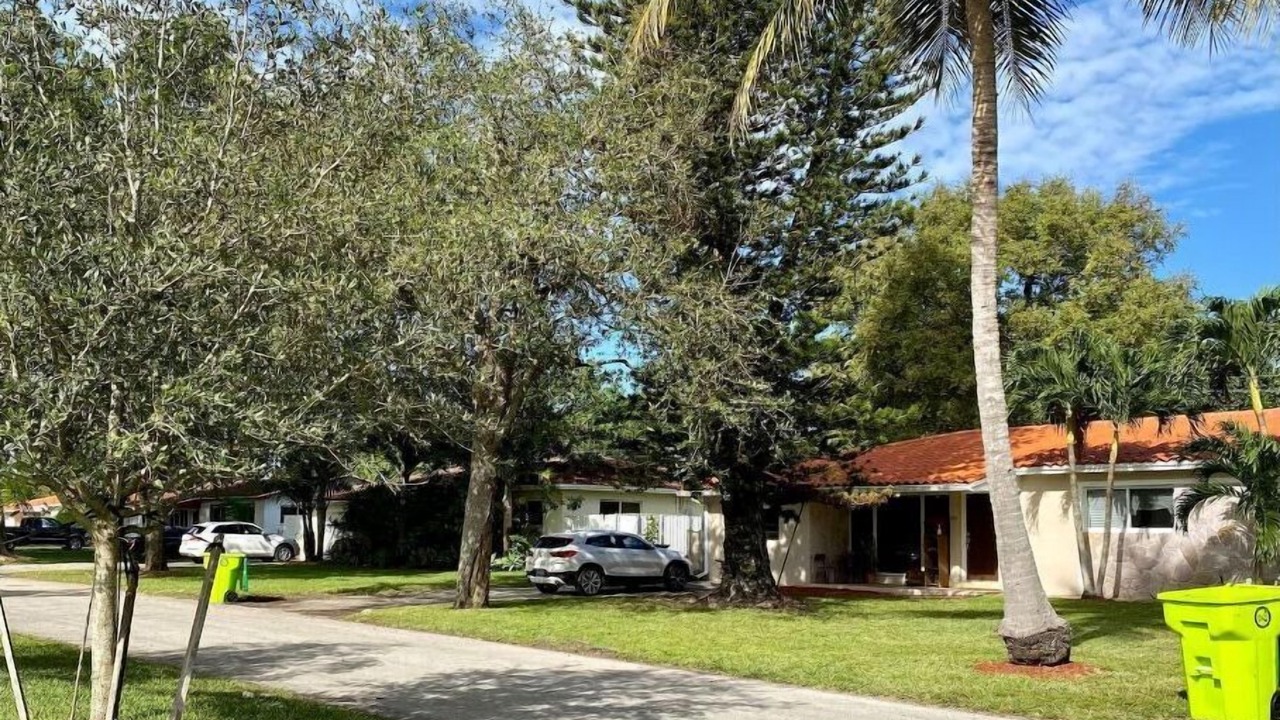 Photo of Outdoor in El Portal