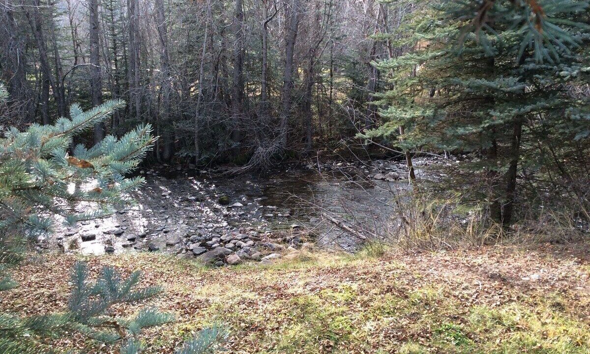 Photo of Others in Bayfield