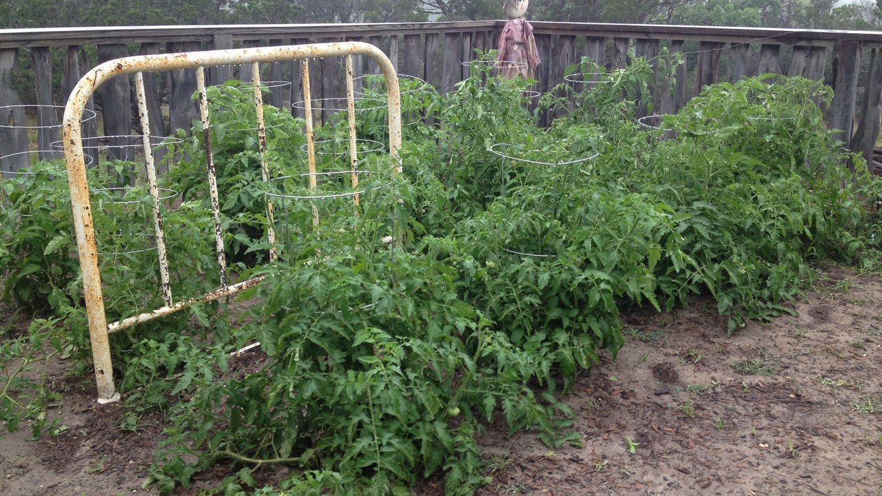 Photo of Outdoor in Comfort
