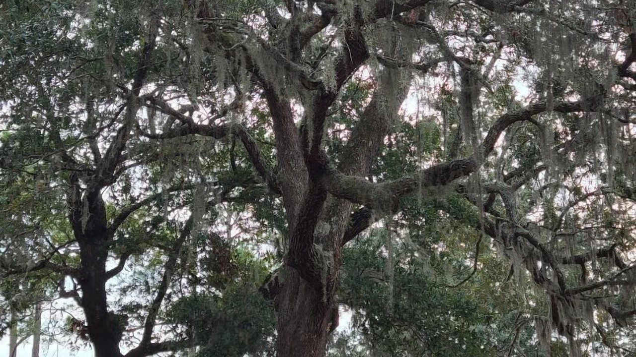 Photo of Outdoor in Navarre