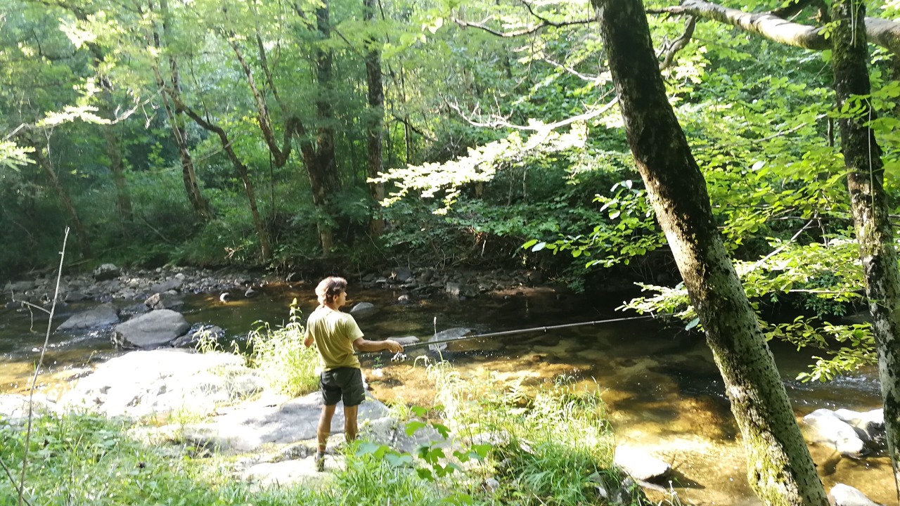 Photo of Outdoor in La Salvetat-sur-Agout