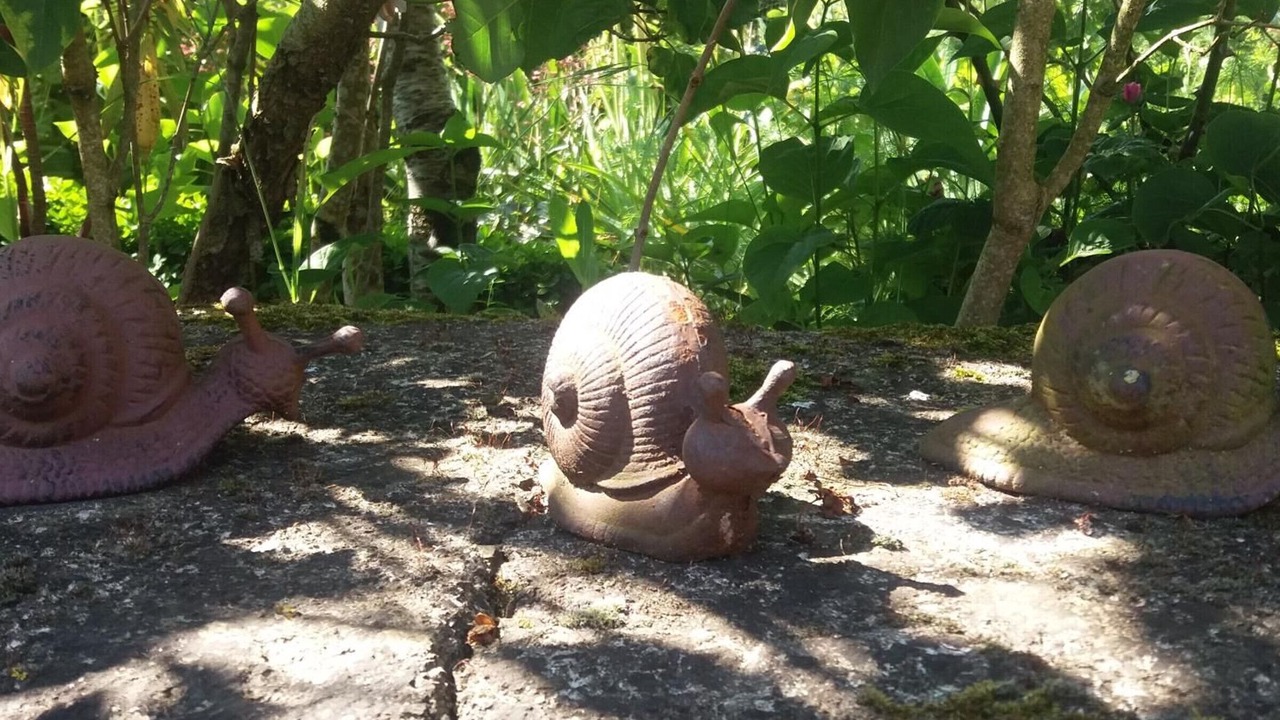 Photo of Outdoor in Chammes