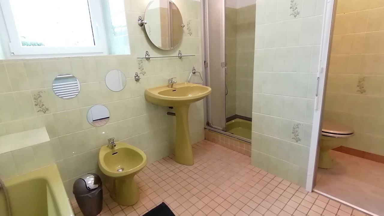 Photo of Bathroom in Congrier