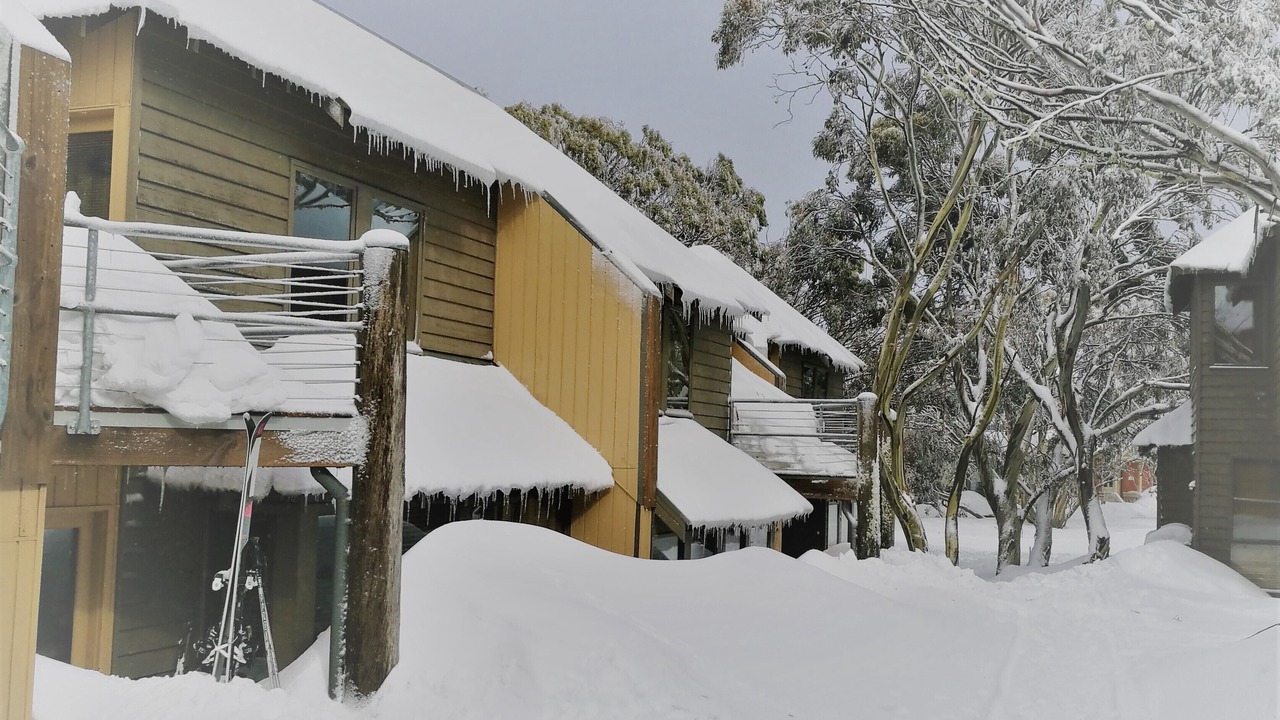 Photo of Others in Hotham Heights