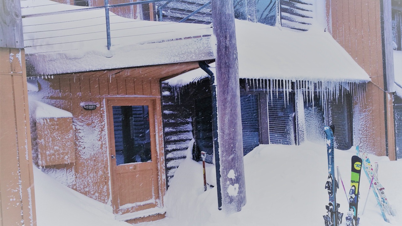 Photo of Outdoor in Hotham Heights