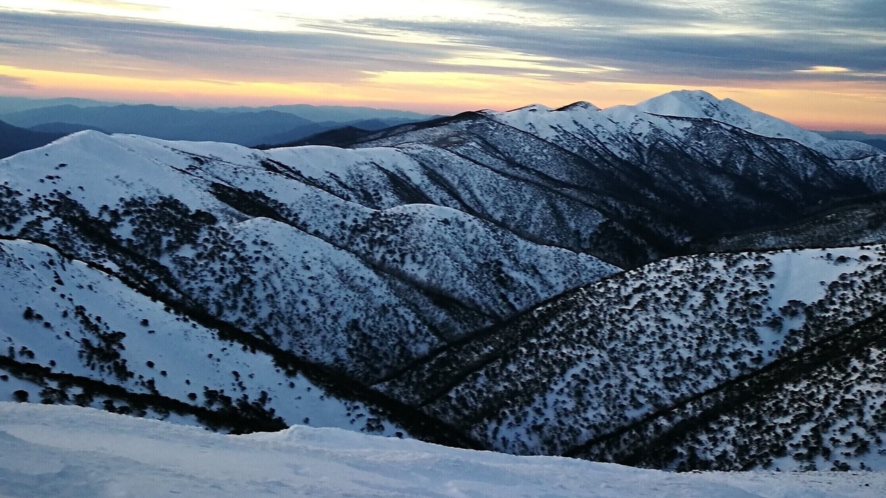 Photo of Others in Hotham Heights