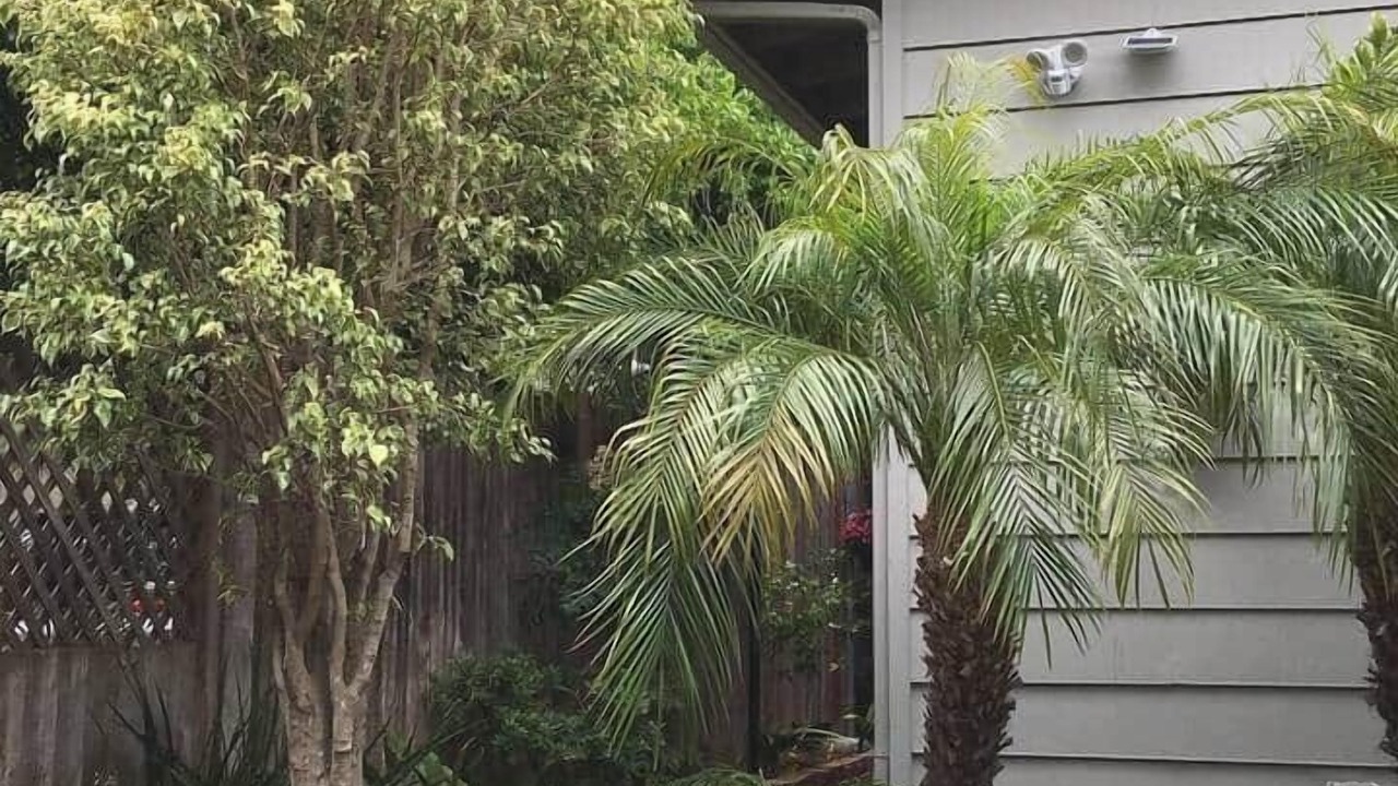 Photo of Outdoor in Point Loma