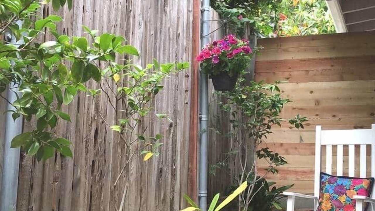 Photo of Outdoor in Point Loma