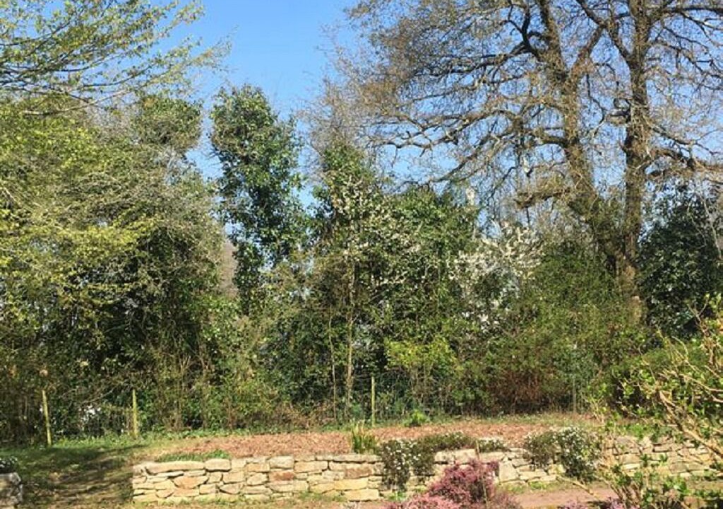 Photo of Outdoor in Vigneux-de-Bretagne