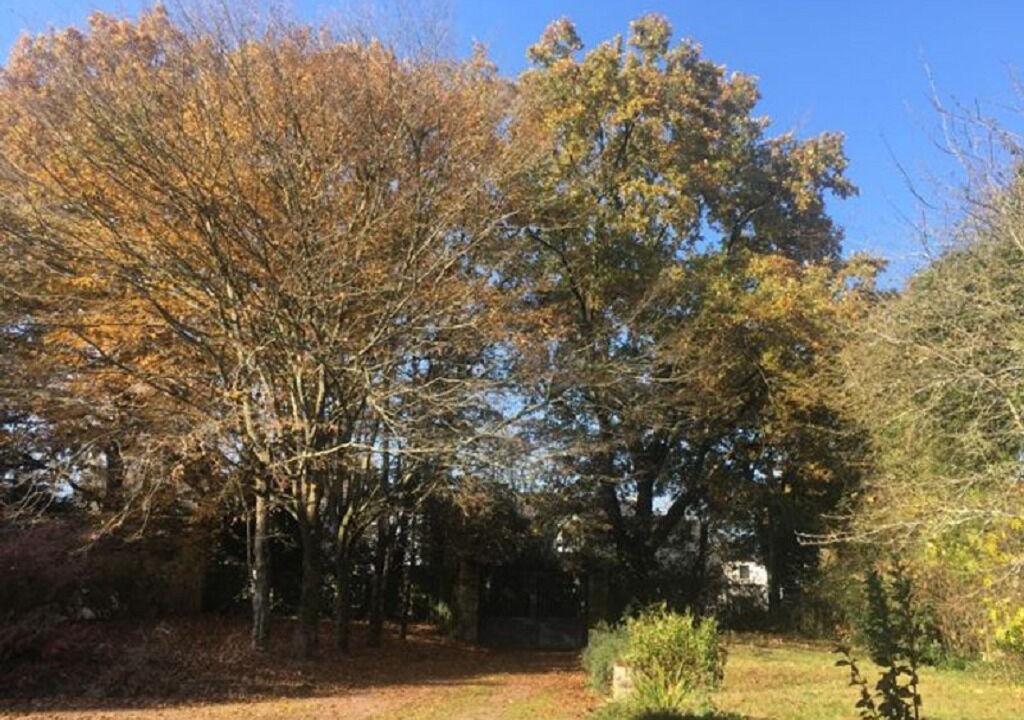 Photo of Outdoor in Vigneux-de-Bretagne