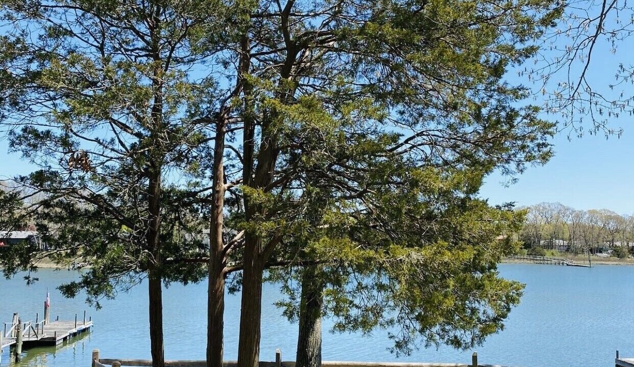 Photo of Outdoor in Cutchogue
