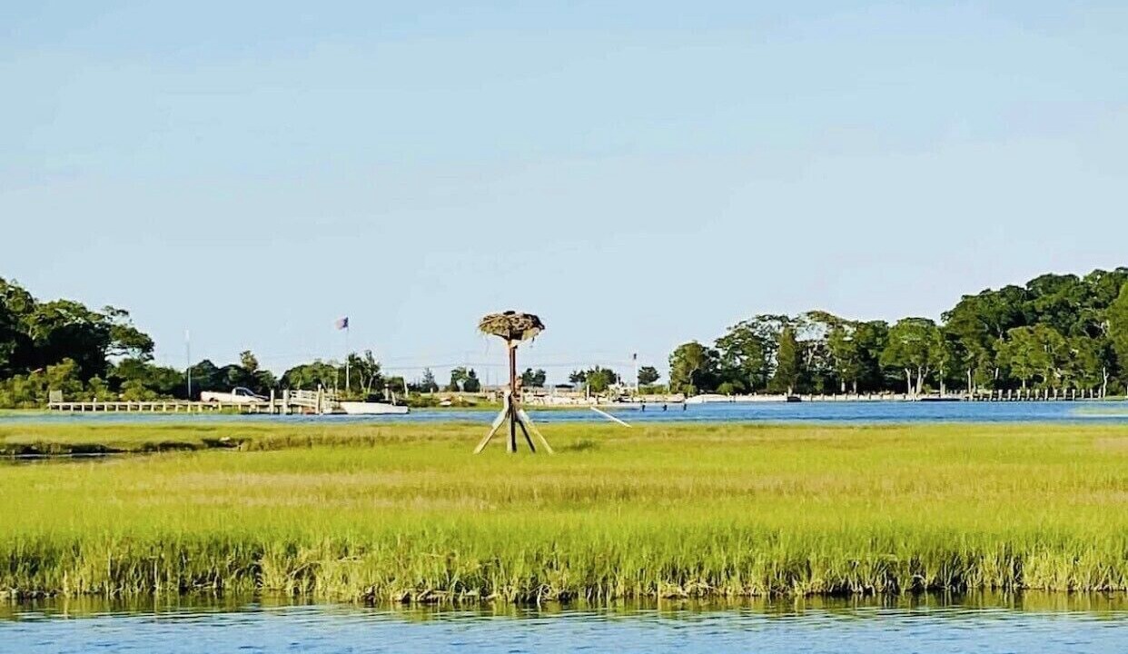 Photo of Others in Cutchogue