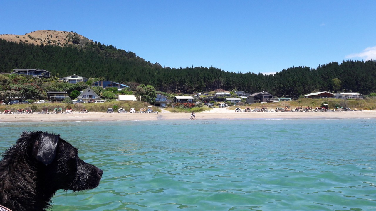 Photo of Others in Opito Bay