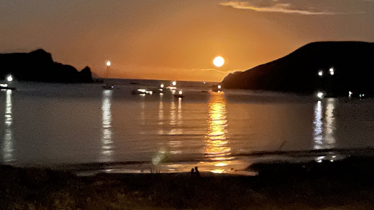 Photo of Others in Opito Bay