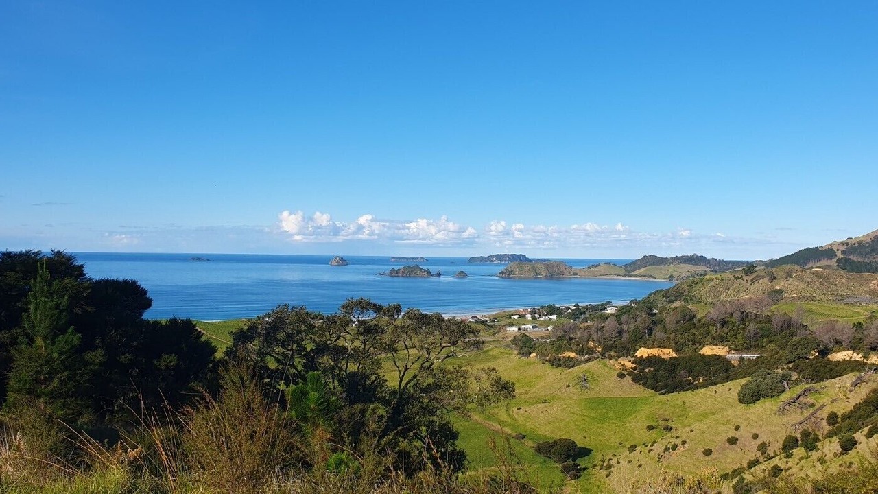 Photo of Others in Opito Bay