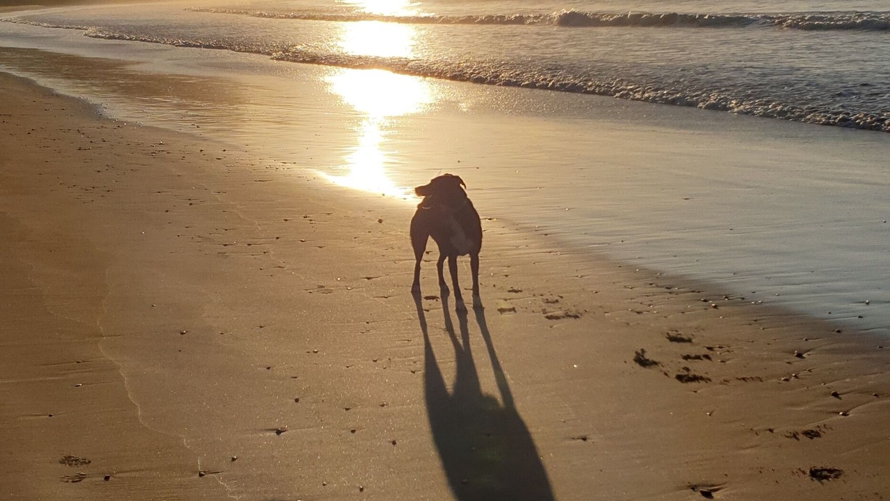 Photo of Others in Opito Bay