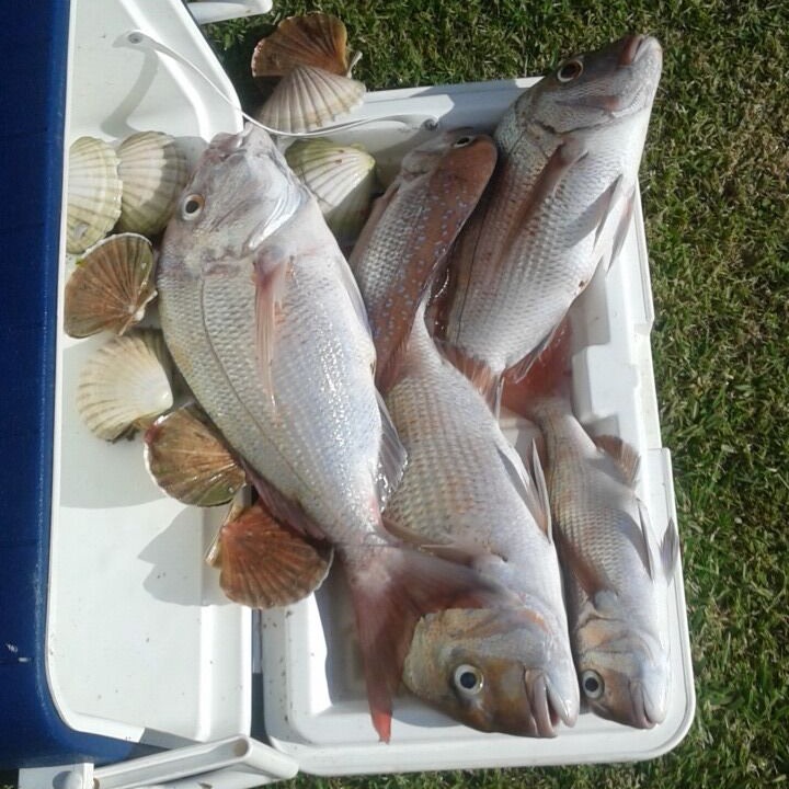 Photo of Others in Opito Bay