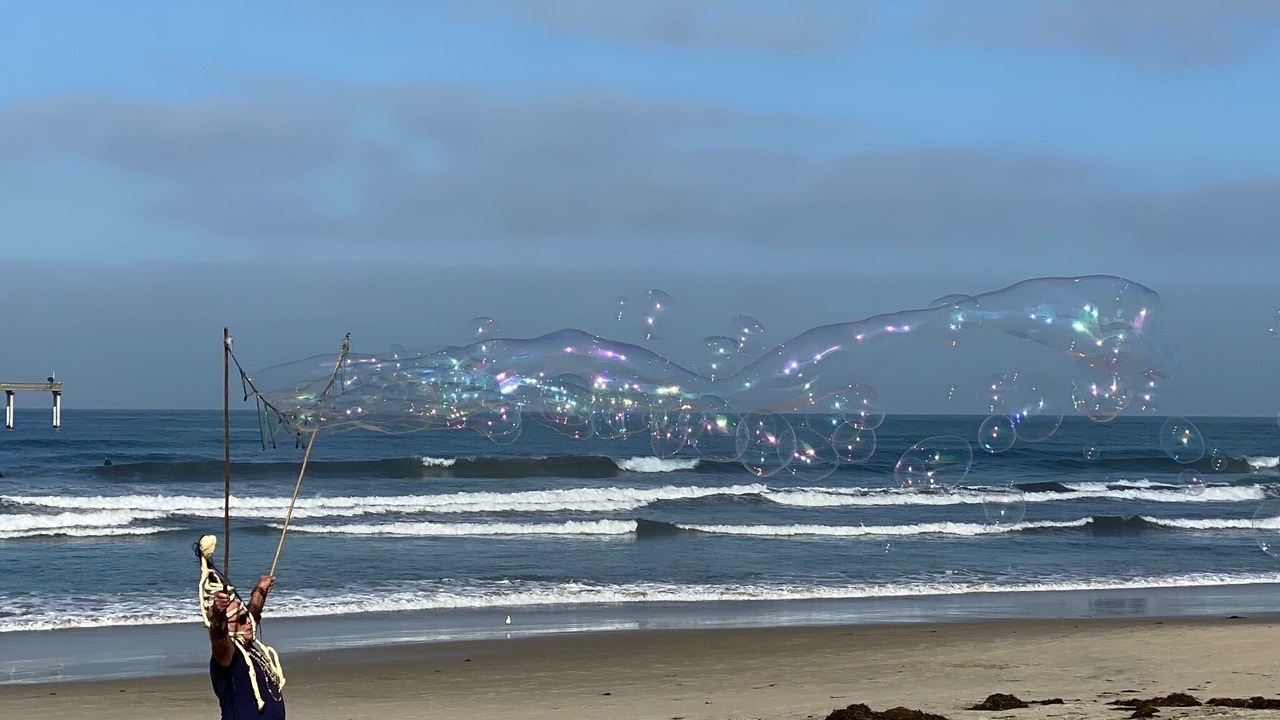 Photo of Others in Central Mission Beach
