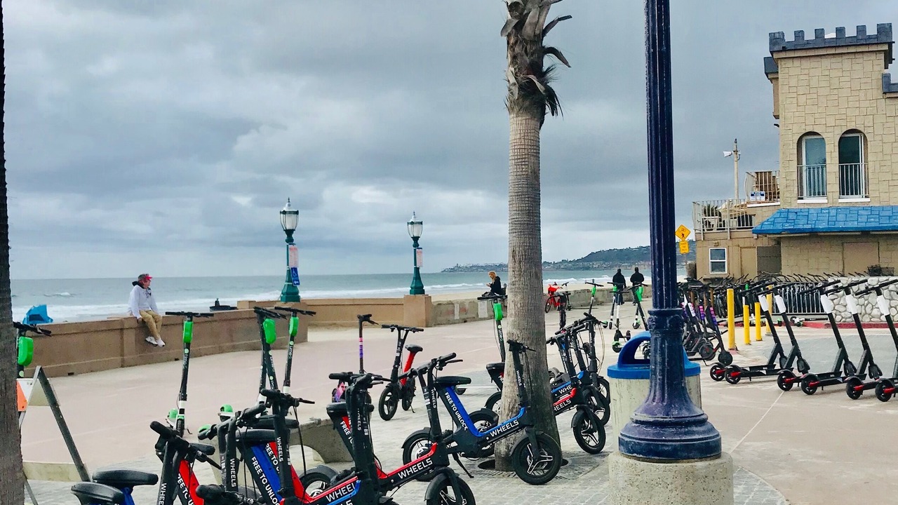 Photo of Others in Central Mission Beach