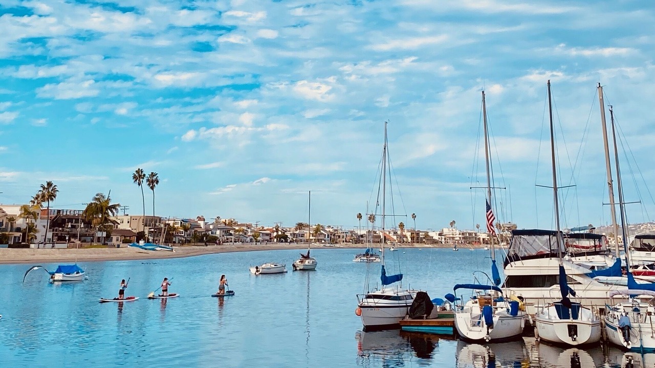 Photo of Others in Central Mission Beach